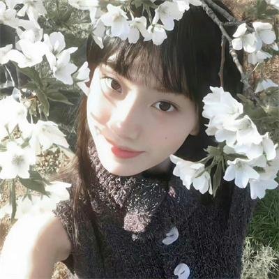 飞燕新装